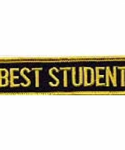Playwell Merit Patch: Student: Best Student P107