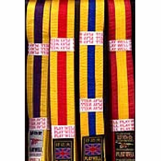 Playwell Belts: Black Belt With Coloured Striped Coloured Belts 1 Playwell Belts: Black Belt With Coloured Striped Coloured Belts