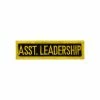 Playwell Merit Patch: Student:Asst. Leadership Patch P122
