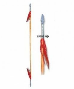 Playwell Wushu Double Ended Spear Stick - 80 " Wu Shu Weapons