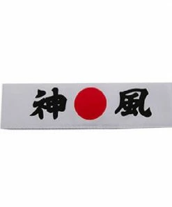 Playwell Kung Fu Headband 10 Headbands