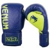Playwell Venum Origins Boxing Gloves Loma Edition
