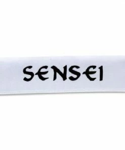 Playwell Sensei Headband 03
