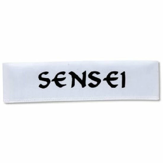 Playwell Sensei Headband 03 1 Playwell Sensei Headband 03