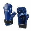 Playwell Miscellaneous Gloves Dipped Foam Sparring Gloves - Royal Blue