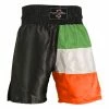 Playwell Boxing Competition Black Satin Shorts - Ireland Flag Series